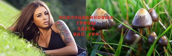 мдпв Арсеньев